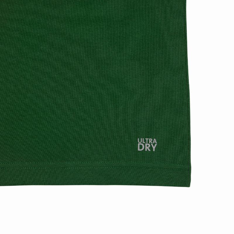 Camiseta Lacoste Sport Verde Blanco