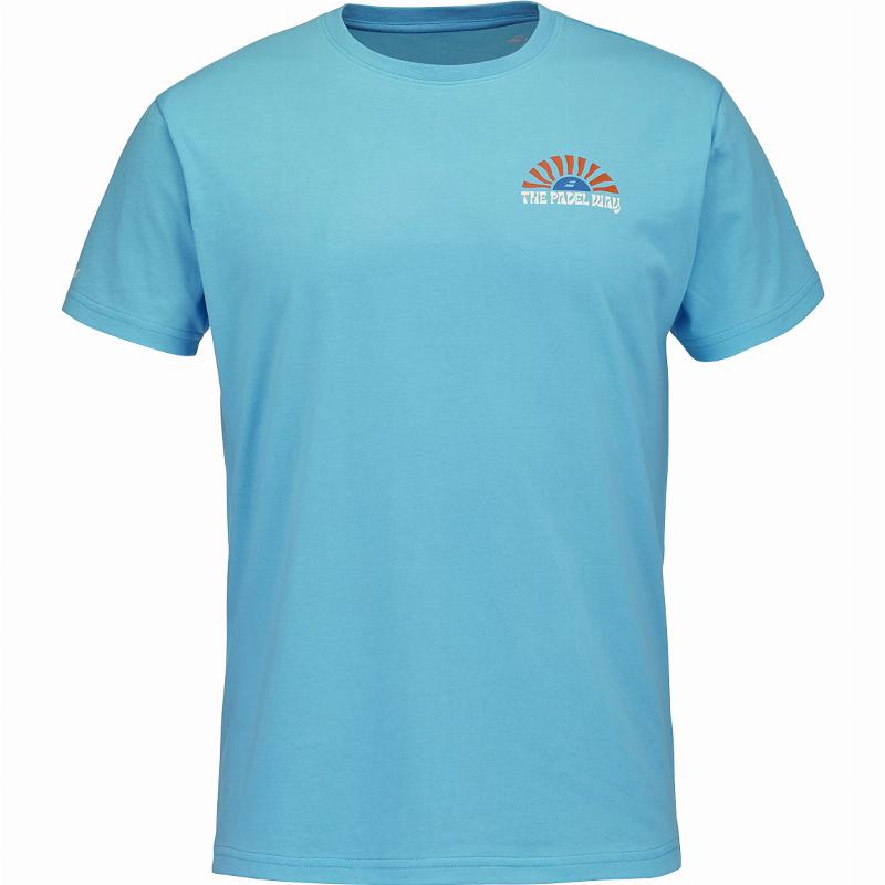 Camiseta Babolat Perf Cotton Azul